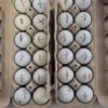 24 Mixed Golf Balls 3A-4A Mixed Lot -Surfing Equipment Verkäufe 2024 20201223 111556 scaled 1