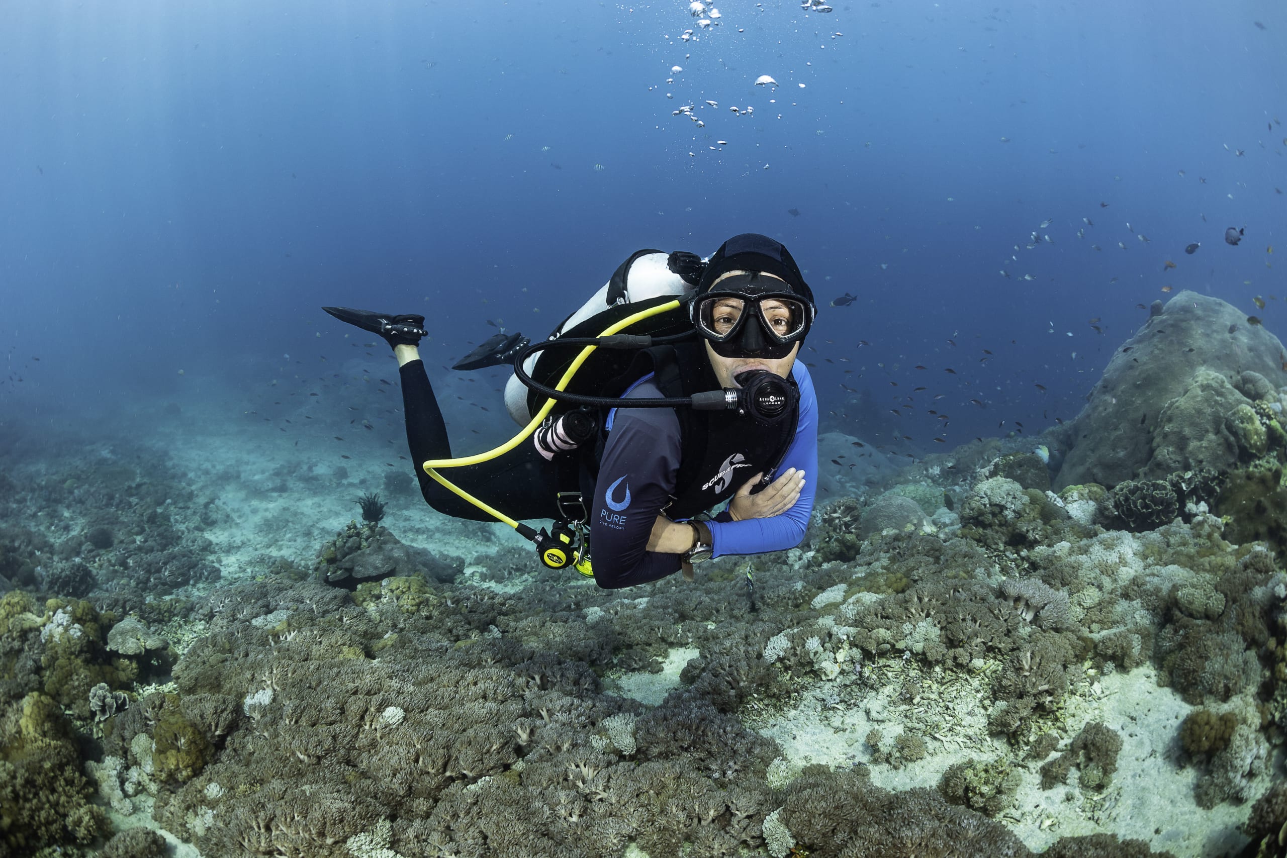 Surfing Equipment Verkäufe 2024 31 Surfing Equipment Verkäufe 2024 -Surfing Equipment Verkäufe 2024 BrookePykePhotography